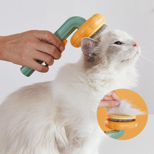 Self Cleaning Pet Pumpkin Brush