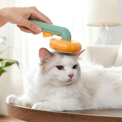Self Cleaning Pet Pumpkin Brush