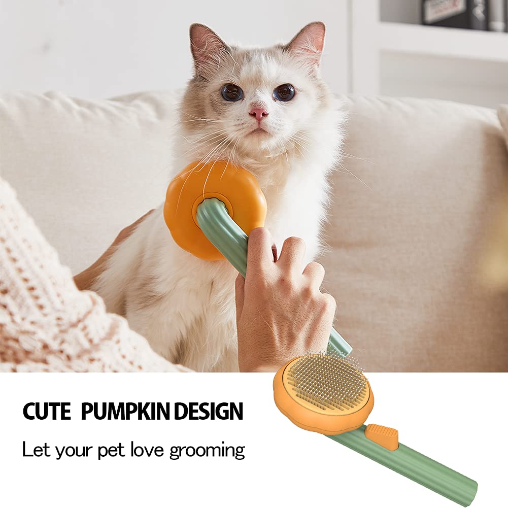 Self Cleaning Pet Pumpkin Brush