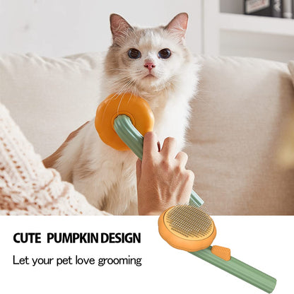 Self Cleaning Pet Pumpkin Brush