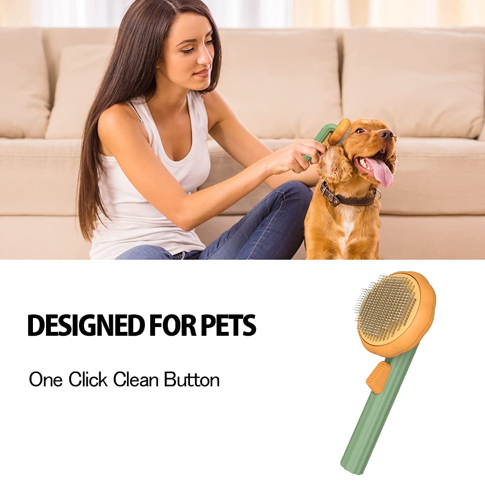 Self Cleaning Pet Pumpkin Brush
