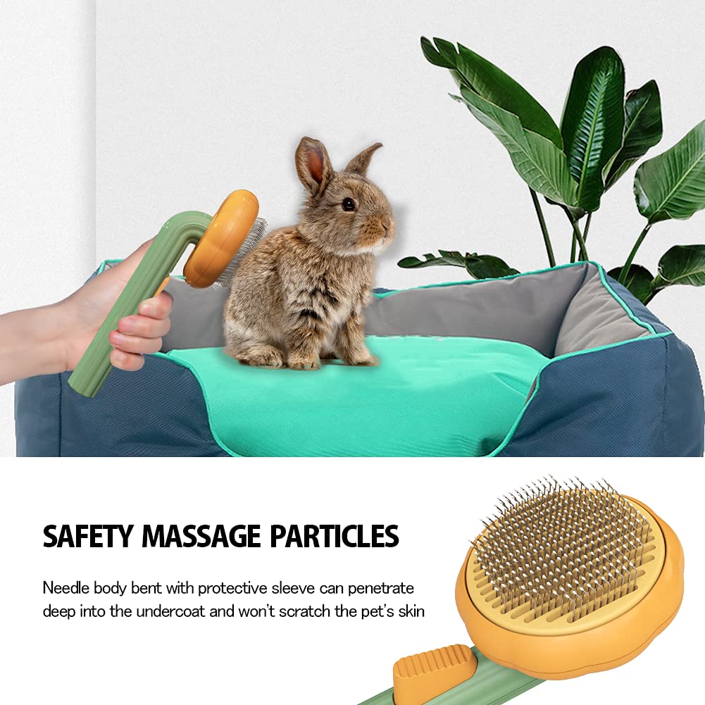 Self Cleaning Pet Pumpkin Brush