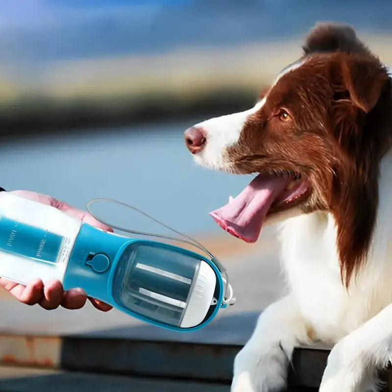 Multi-functional Pet Drinking Food Cup