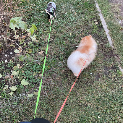 360 Swivel Double Leash With Light