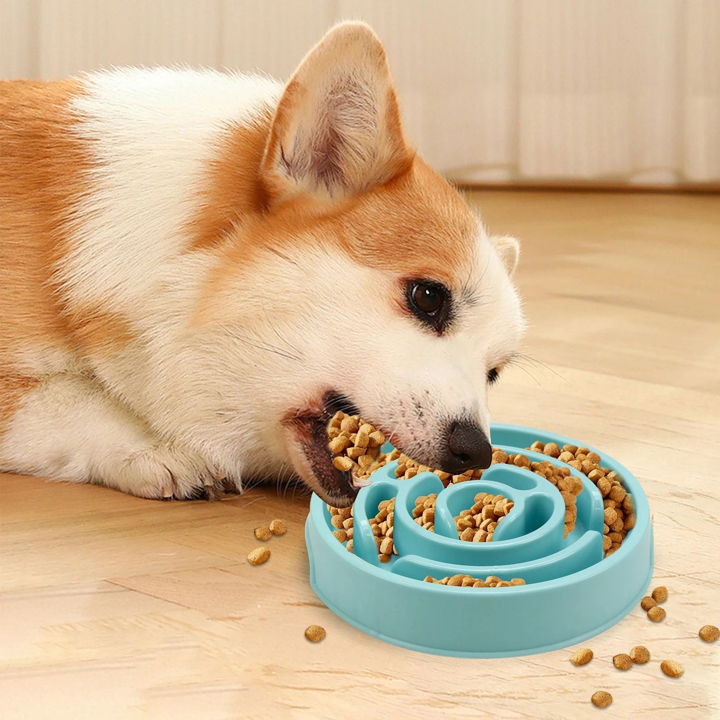 Anti-Gulping Slower Feeding Bowl