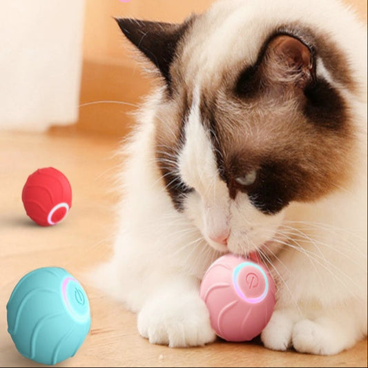 Automatic Bouncing Ball Cat Toy