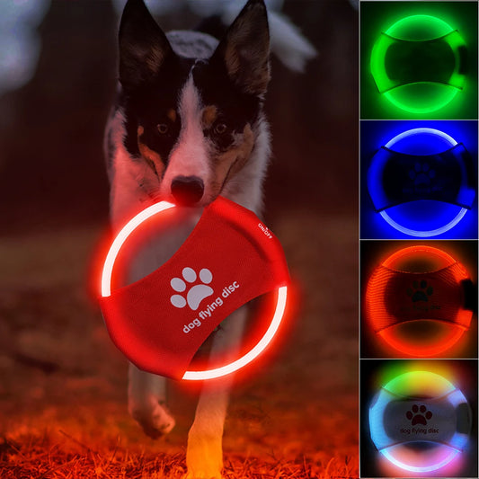 Glowing LED Luminous Flying Discs