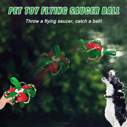 Interactive Dog Football Soccer Ball Toy