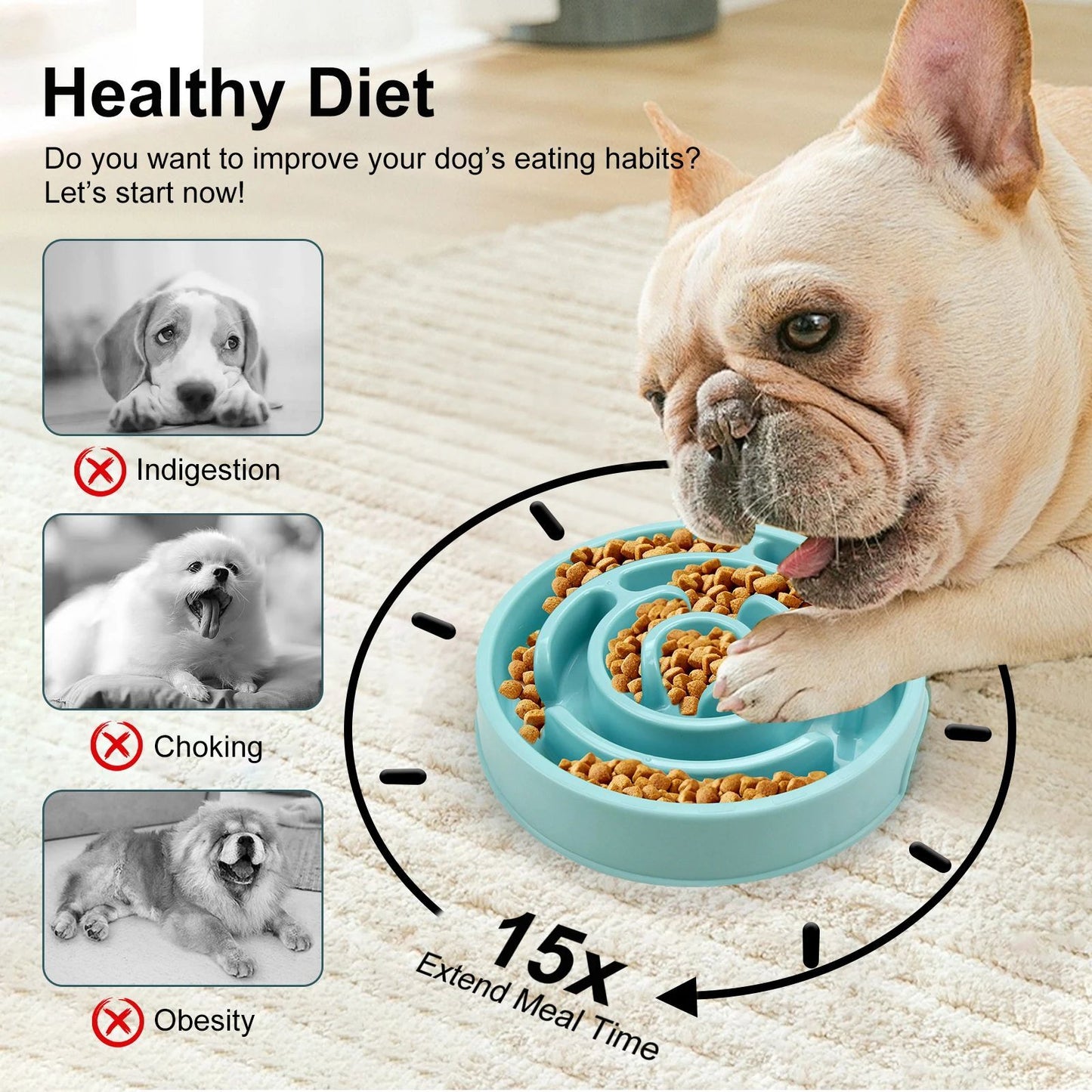 Anti-Gulping Slower Feeding Bowl