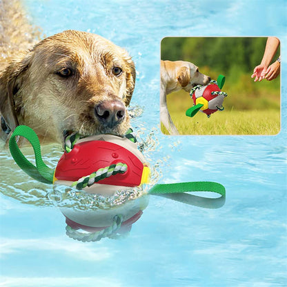 Interactive Dog Football Soccer Ball Toy