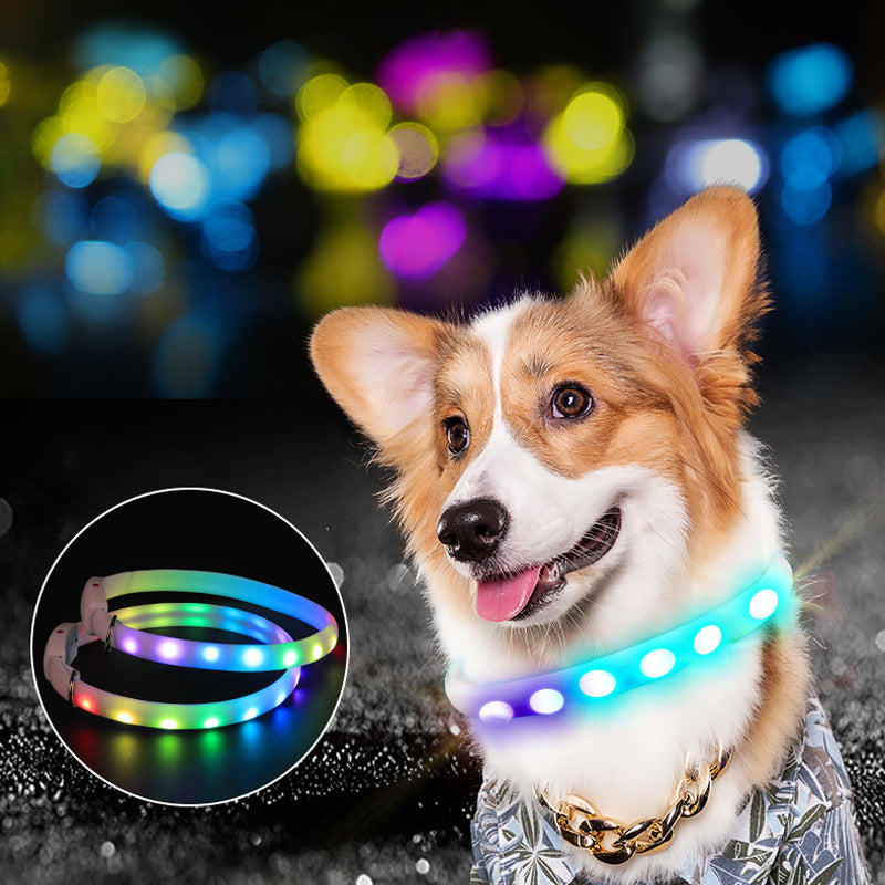 USB Rechargeable Pet LED Collar